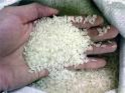 Việt Nam mua 30.000 tấn lúa mì Úc