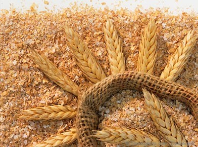 Nhập khẩu lúa mì Ấn Độ giảm